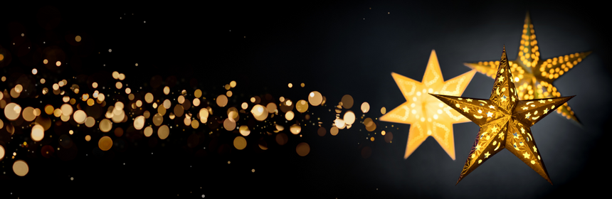 SPD_2022_XMAS_Background 1_860x280